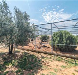 4 bedroom villa with pool near Pula, sleeps 8